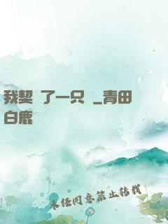 我契約了一只貓
