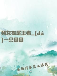 我女友是王者