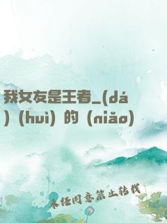 我女友是王者
