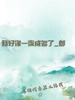 我好像一夜成名了