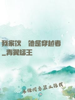 我家伙計說他是穿越者