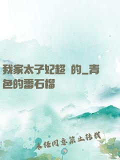 我家太子妃超兇的