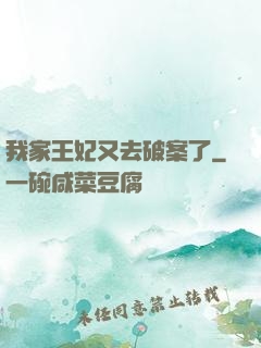 我家王妃又去破案了