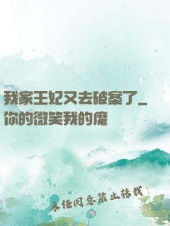 我家王妃又去破案了