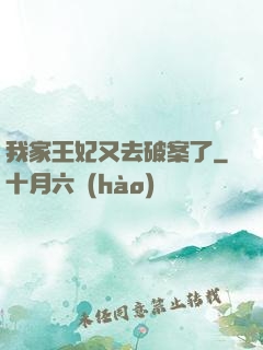我家王妃又去破案了