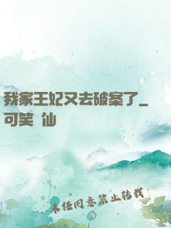 我家王妃又去破案了