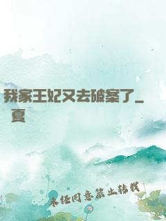 我家王妃又去破案了