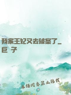 我家王妃又去破案了