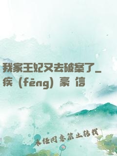 我家王妃又去破案了