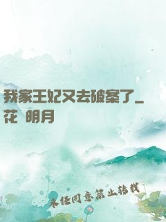 我家王妃又去破案了