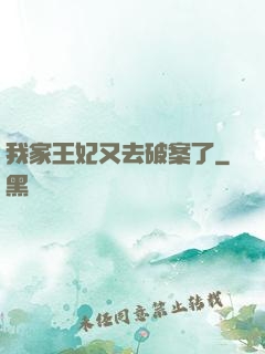 我家王妃又去破案了