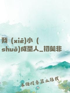 我寫(xiě)小說(shuō)成圣人