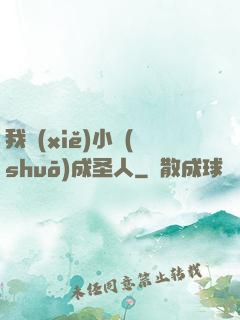 我寫(xiě)小說(shuō)成圣人