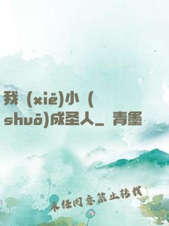 我寫(xiě)小說(shuō)成圣人