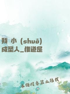 我寫小說(shuō)成圣人