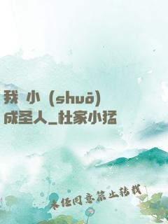 我寫小說(shuō)成圣人