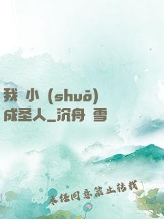 我寫小說(shuō)成圣人
