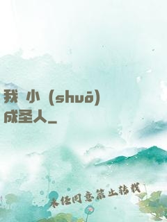 我寫小說(shuō)成圣人