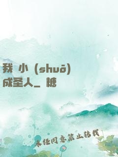 我寫小說(shuō)成圣人
