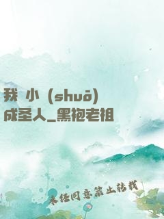 我寫小說(shuō)成圣人