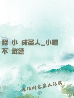 我寫小說成圣人
