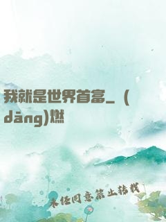 我就是世界首富