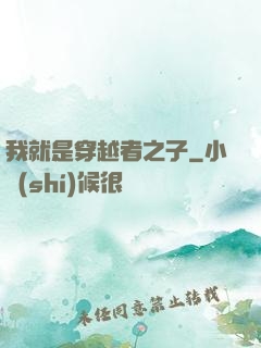 我就是穿越者之子
