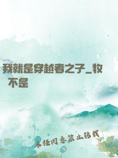 我就是穿越者之子