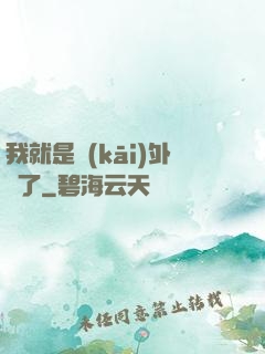 我就是開(kāi)外掛了