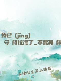 我已經(jīng)沒錢守護阿拉德了