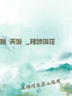 我從天外來