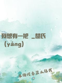 我想有一把劍