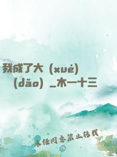 我成了大學(xué)輔導(dǎo)員