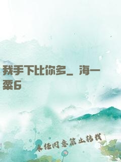 我手下比你多