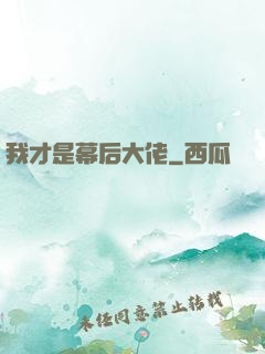 我才是幕后大佬