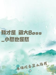 我才是隱藏大Boss