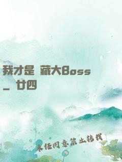 我才是隱藏大Boss