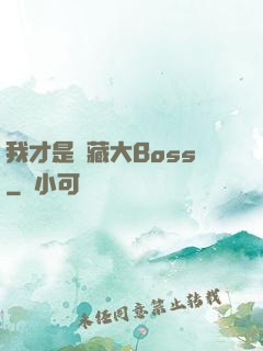 我才是隱藏大Boss