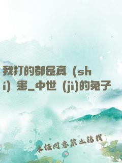 我打的都是真實(shí)傷害