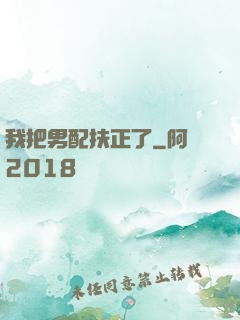 我把男配扶正了