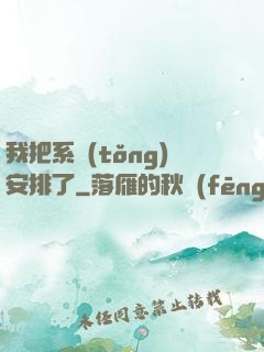 我把系統(tǒng)安排了