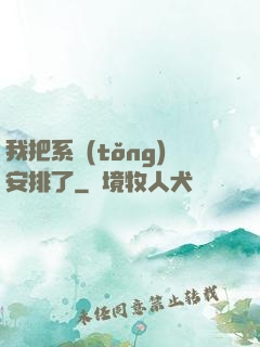 我把系統(tǒng)安排了