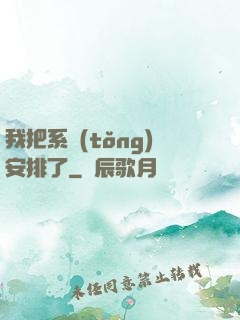 我把系統(tǒng)安排了