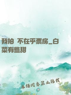 我拍戲不在乎票房