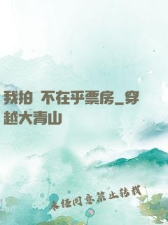 我拍戲不在乎票房