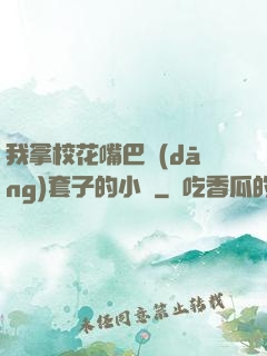 我拿?；ㄗ彀彤?dāng)套子的小說