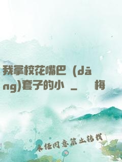 我拿?；ㄗ彀彤?dāng)套子的小說