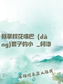 我拿?；ㄗ彀彤?dāng)套子的小說