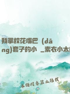 我拿?；ㄗ彀彤?dāng)套子的小說