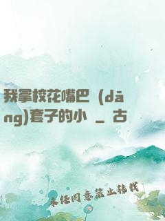 我拿?；ㄗ彀彤?dāng)套子的小說
